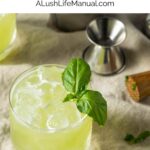 Gin Basil Smash - Pin