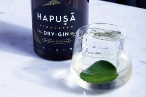 Hapusa Glacier Negroni