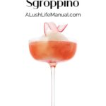 Amaro Santoni Sgroppino - PIN