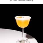 Passion Fruit Martini - Pin