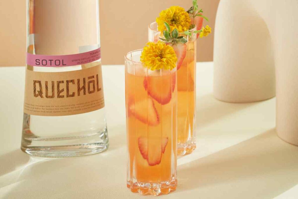 Quechol Sotol Desert Sun