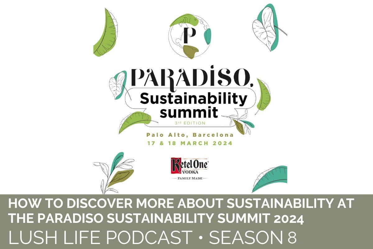 How to Discover More About Sustainability at the Paradiso Sustainability Summit 2024