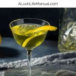 ALASKA cocktails PIN