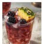 Sherry Cobbler PIN