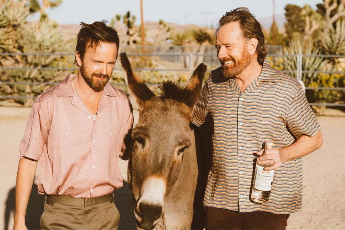 6. Aaron Paul and Bryan Cranston - Dos Hombres Mezcal