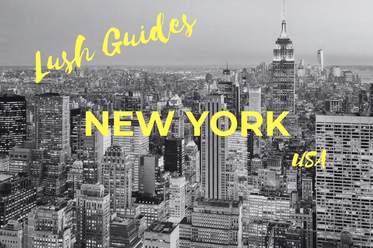 Lush Guide…Best Bars in New York