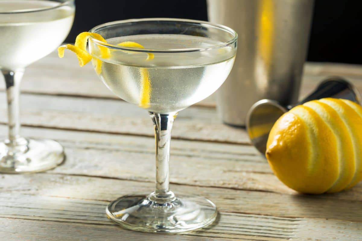 Gin Martini 1200 x 800