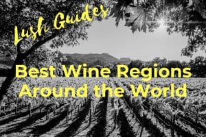 Wine Regions