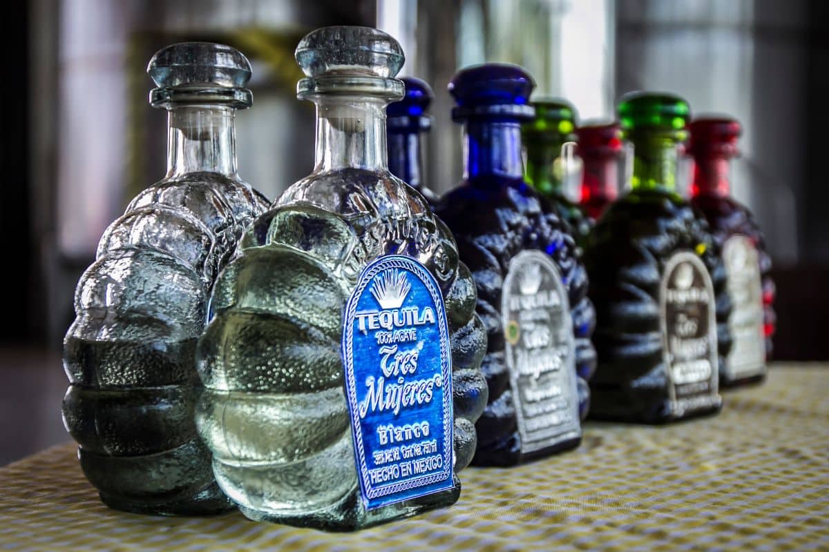 Tequila Becerra Govea Photo from Pexels