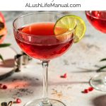 Pomegranate Rosemary Martini. - pinj.pg