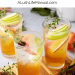 Apple Cider Spritz PIN