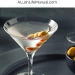 Vodka Martini Pin