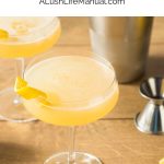 Corpse Reviver 2 PIN