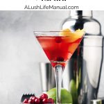Cranberry Vodka Martini PIN