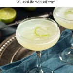 Gimlet PIN