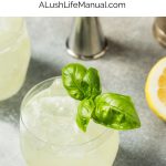 Gin Basil Smash