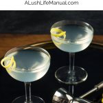 Gin Martini Pin