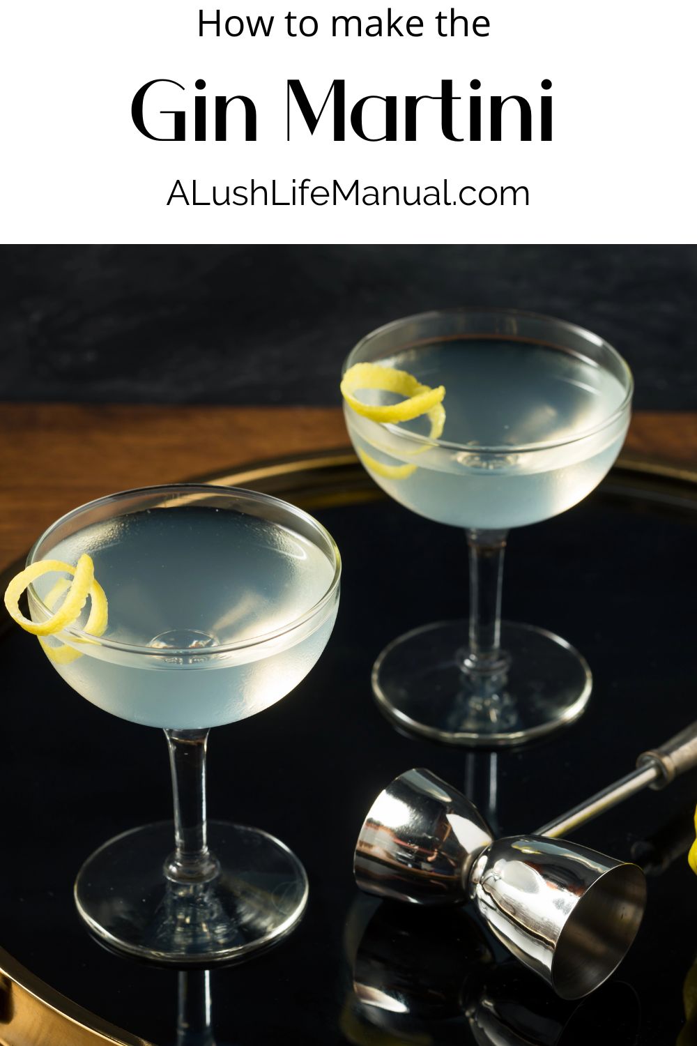 How To Make The Classic Gin Martini