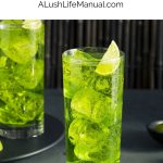 Japanese Cocktail PIN