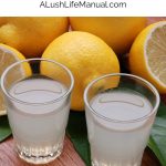 Lemon Drop Shot PIN