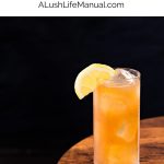 Long Island Iced Tea PIN