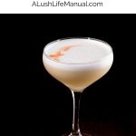Pisco Sour PIN