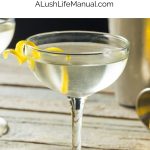 Vesper Martini PIN