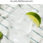 Vodka Tonic PIN