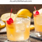 Whiskey Sour PIN