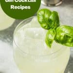 10 Classic GIN Cocktails Pinterest