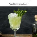 Absinthe Frappé PIN