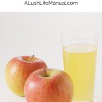 Apple Pie Shot