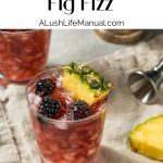 Blackberry Fig Fizz PIN