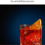 Mezcal Negroni PIN