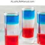 Bomb Pop Shot