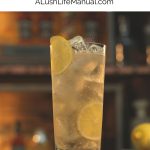 Bourbon Lemonade PIN