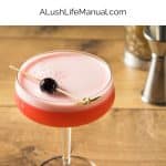Campari Shakerato PIN