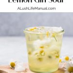 Chamomile & Lemon Gin Sour PIN
