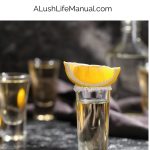 Chocolate Cake Shot PIN