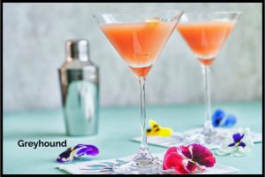 Greyhound Cocktail