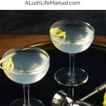 Smoky Martini PIN