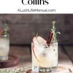 Spiced Pear Collins PIN new