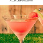 Watermelon Martini PIN