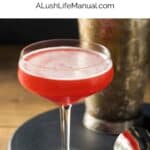 Scofflaw Cocktail PIN Spritz PIN